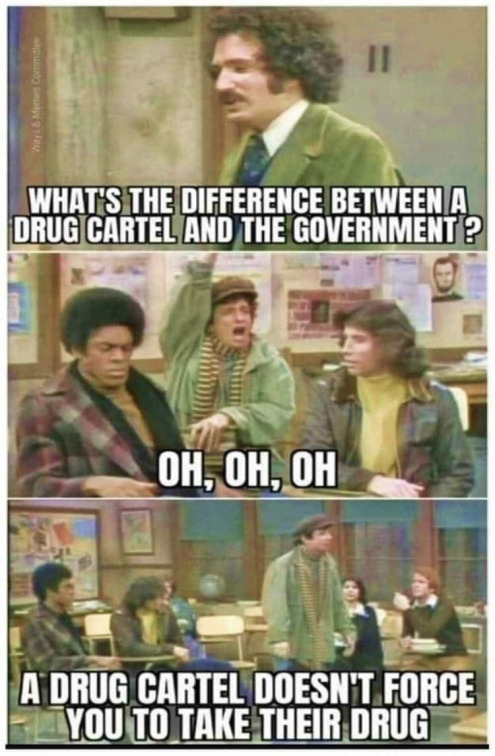 Drug cartel vs government