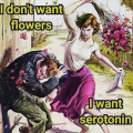 Not flowers, serotonin