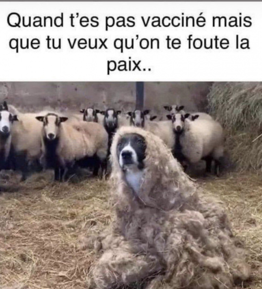 pas_vacciné_en_paix.jpg