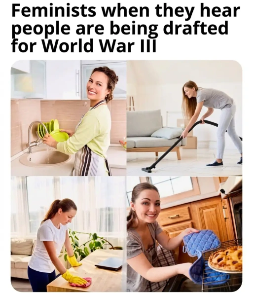 feminists_vs_draft.webp