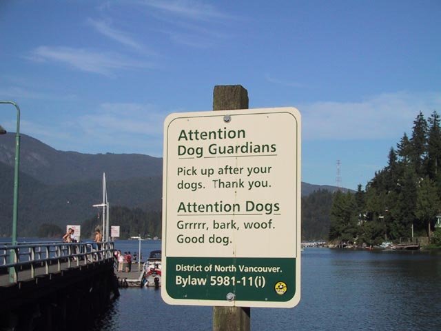 Attention dog guardians