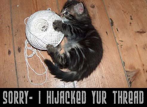 Thread hijack sorry cat
