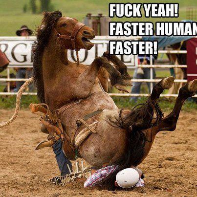 horse_riding_human.jpg