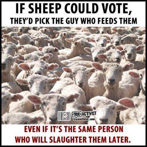 If sheep could vote