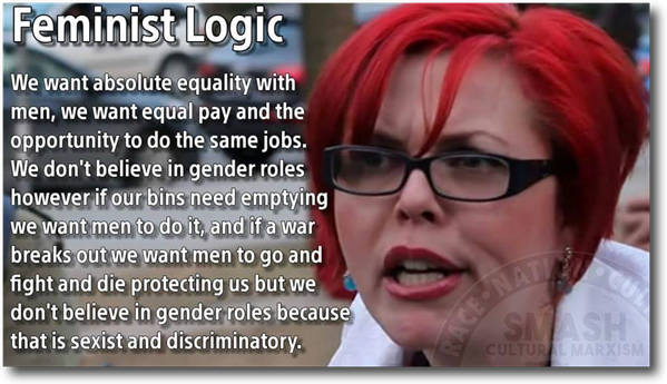 feminist_logic.jpg