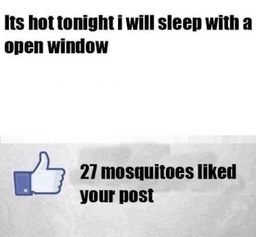 Sleeping with mosquitoes?