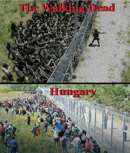 The Walking Dead vs Hungary border