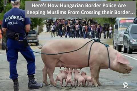 Hungarian border police