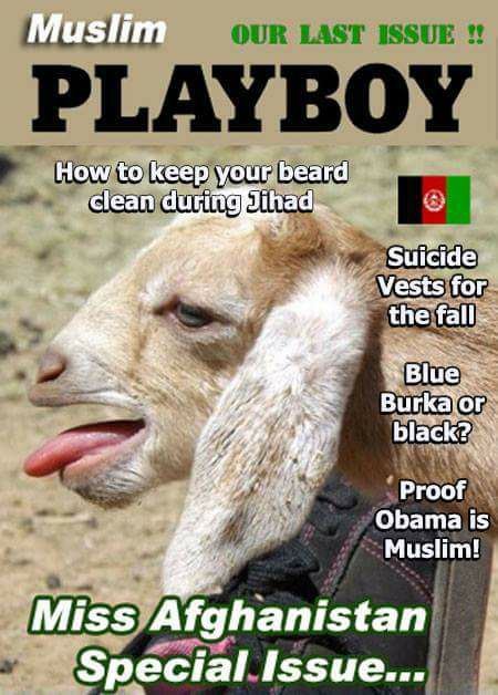 Muslim playboy