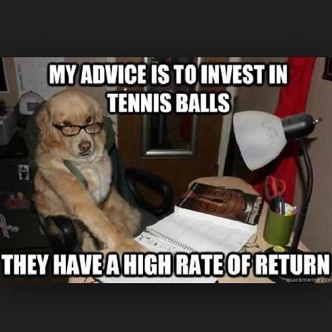 invest_tennis_balls.jpg