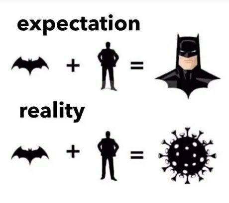 Bat plus man: expectation vs reality