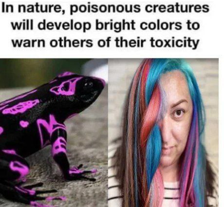 Bright colors = toxicity