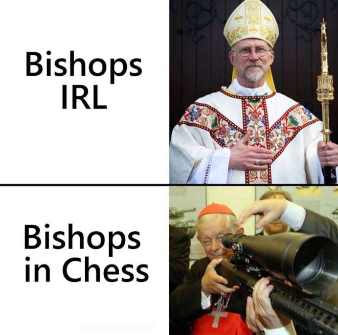 Bishops IRL vs bishops in chess